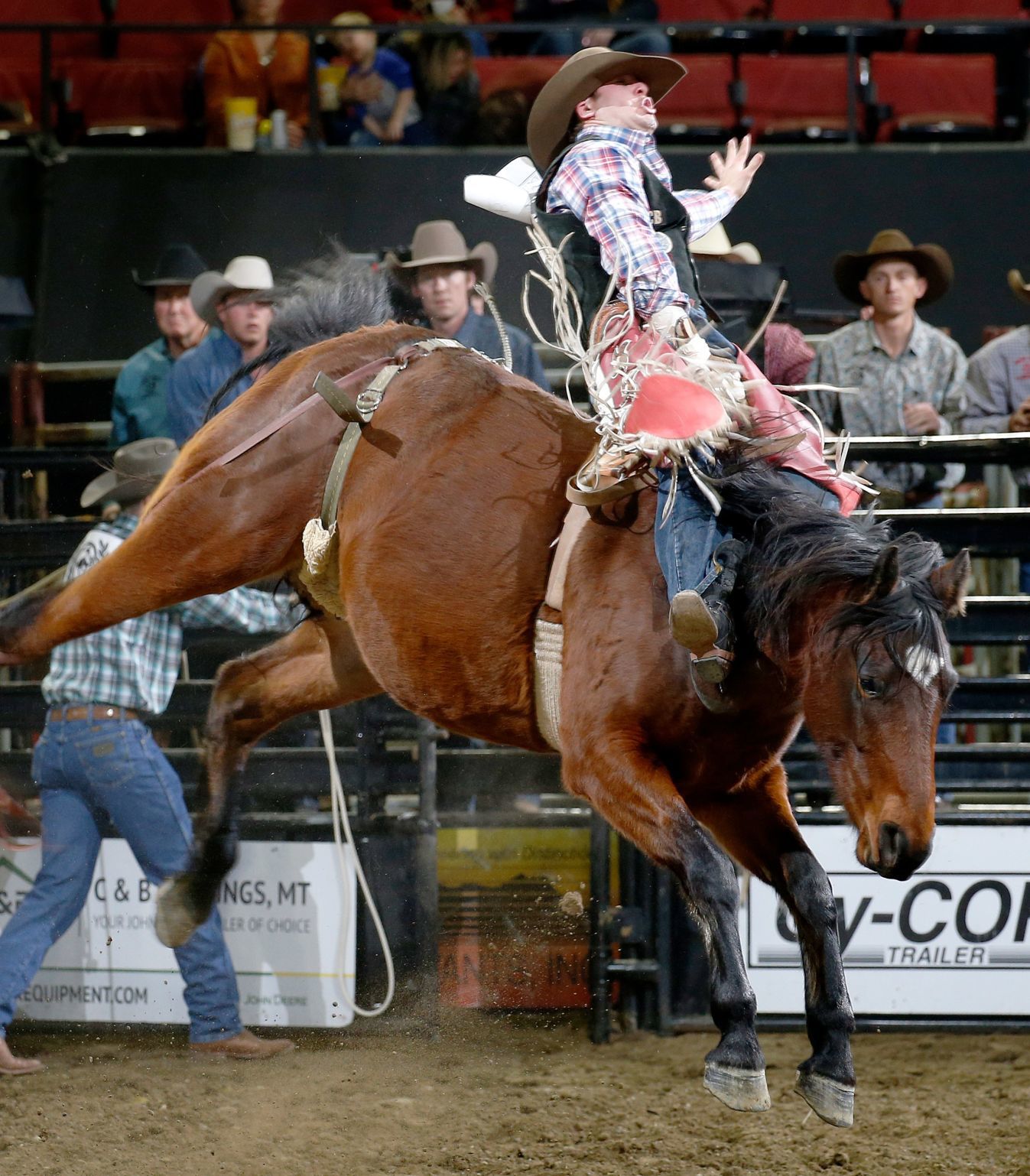 Chase Hawks rodeo